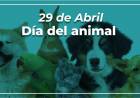 Día del Animal en Argentina