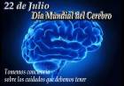Día Mundial del Cerebro