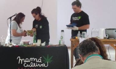  Se comenzó el debate por el cannabis medicinal en la Ciudad de Buenos Aires