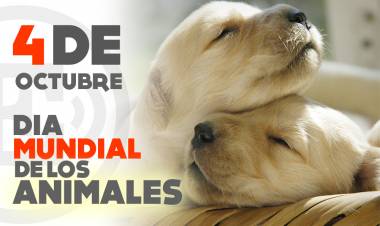 Día Mundial de los Animales