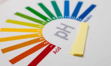 ¡Alcalinízate! Claves para mejorar la salud desde dentro