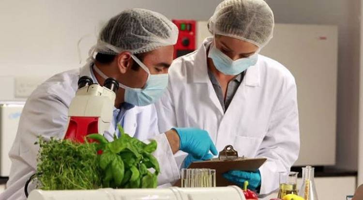 Día del Bromatólogo