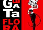 LA GATA FLORA