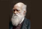 El Día de Darwin
