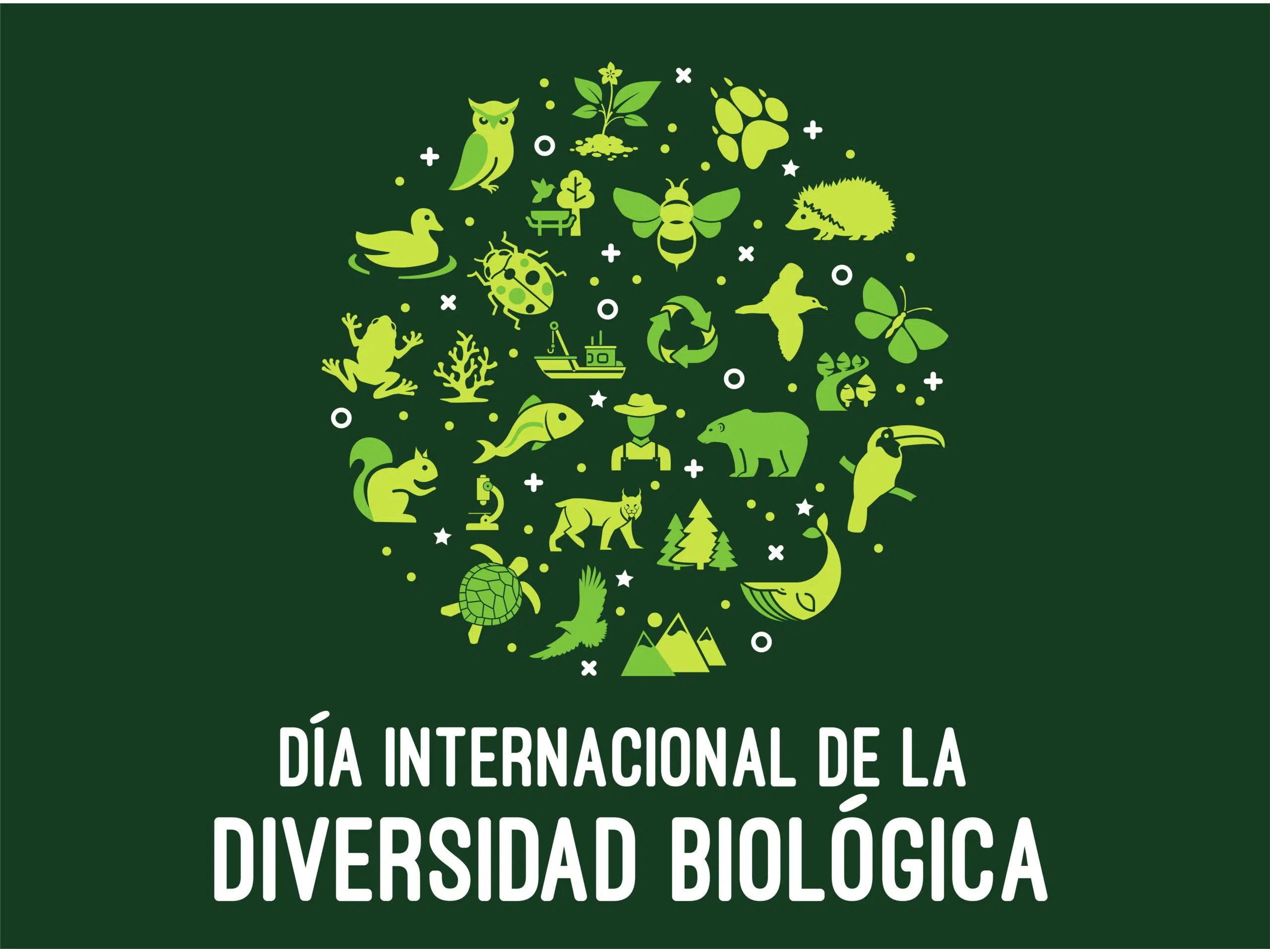 El Día Internacional de la Diversidad Biológica 
