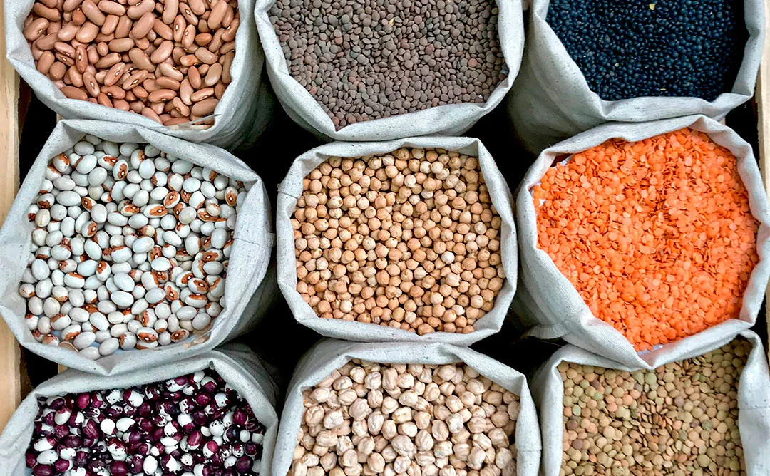 Legumbres y su importancia