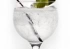 POR QUÉ TOMAR GIN TONIC