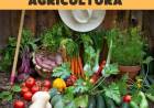 Día Mundial de la Agricultura