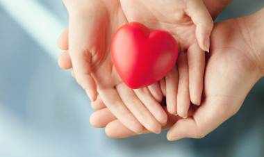 DÍA INTERNACIONAL DE LA AMISTAD.