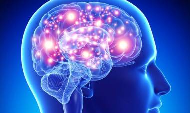 SI NO SE USA SE ATROFIA