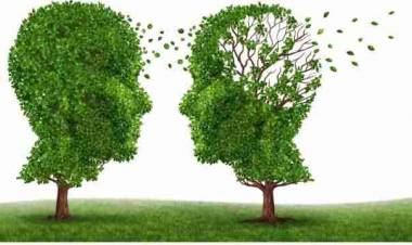 Deterioro cognitivo leve