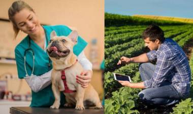 Día del Ingeniero Agrónomo y del Médico Veterinario