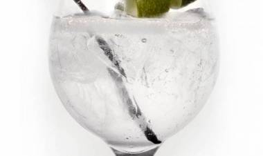 POR QUÉ TOMAR GIN TONIC