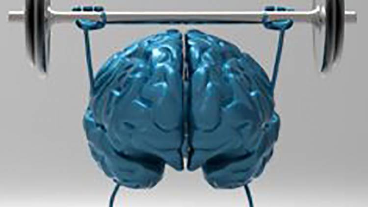 Día Mundial del Cerebro