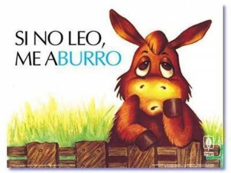 Analfabetos Funcionales I Meridiano63