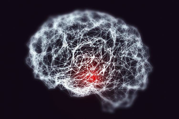 PELEARLE AL ALZHEIMER