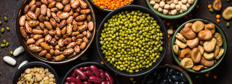 La importancia de la incorporación de otras proteínas.