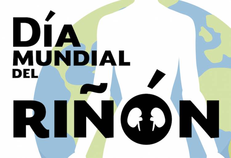 Día Mundial del Riñón
