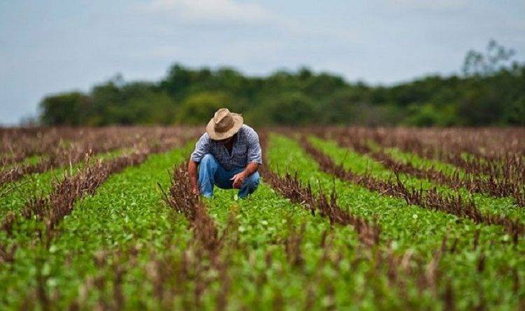 Agricultura