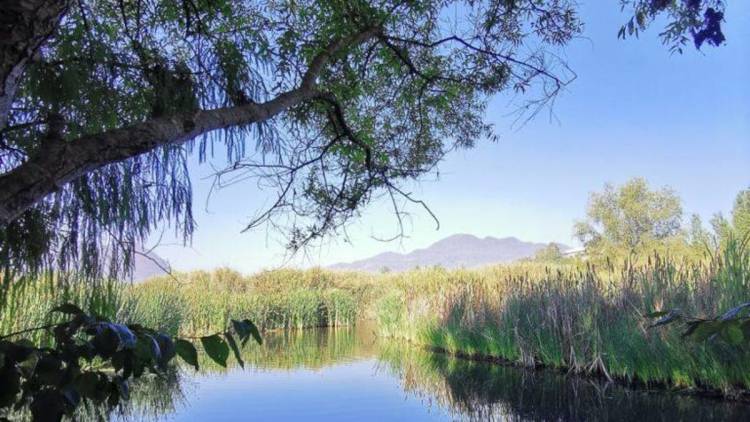 Día Mundial de los Humedales