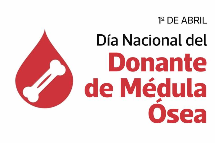 Día Nacional de la Donación de Médula Ósea