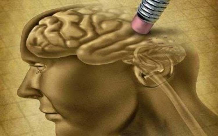 No más pérdida de memoria: los 5 hábitos que previenen el deterioro cognitivo, según neurólogos