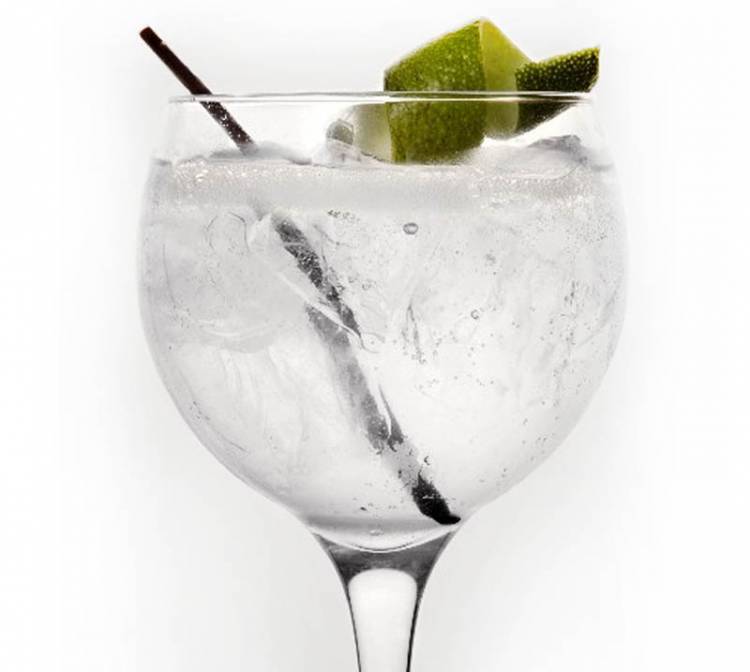 POR QUÉ TOMAR GIN TONIC